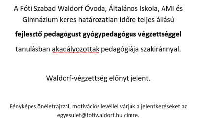 Álláshirdetés – gyógypedagógus