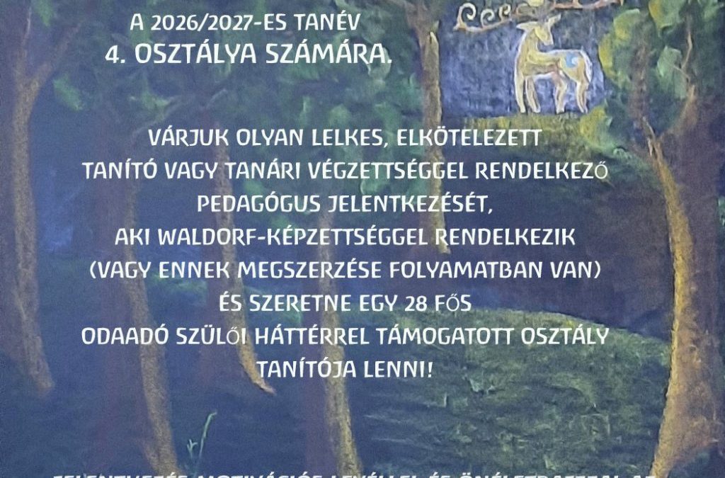 Osztálytanítót keresünk 4. osztályunknak