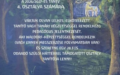 Osztálytanítót keresünk 4. osztályunknak